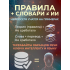 Годовой курс английского + ТРЕНАЖЕР ДЛЯ ПАМЯТИ